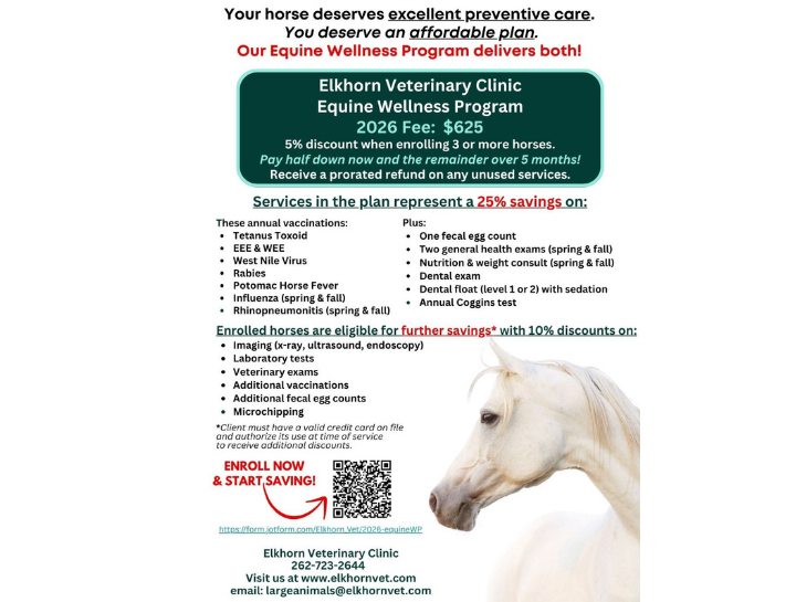 Equine Wellness Care in Elkhorn, Elkhorn Veterinary Clinic