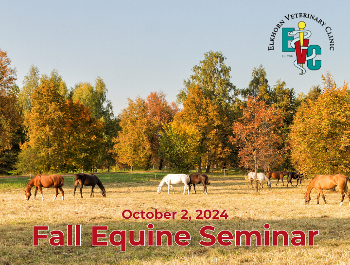 Access Our Equine Seminar Presentation Online!