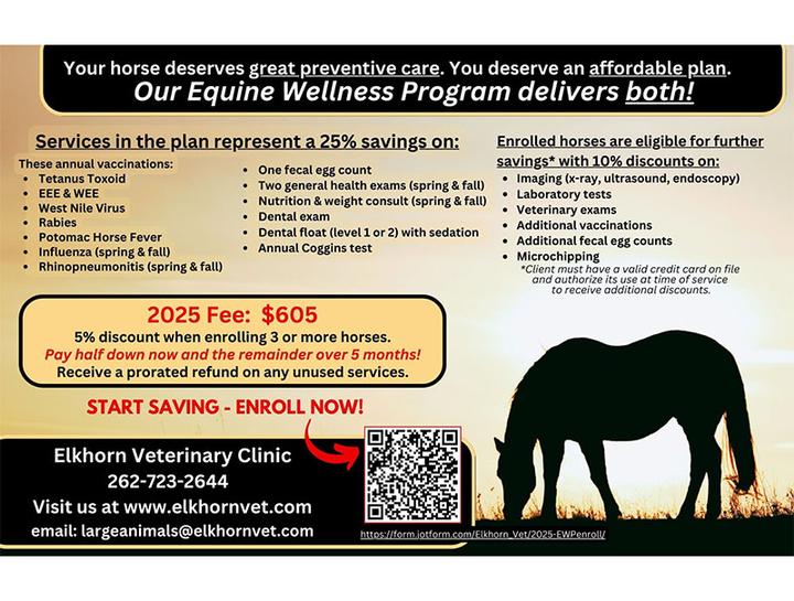 Equine Wellness Program